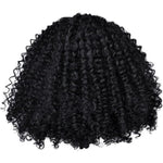 Perruque Afro Couleur