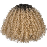 Perruque Couleur Afro