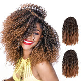 Perruque Curly Afro