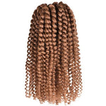 Perruque Afro Curly Marron