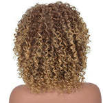 Perruque Afro Cheveux Blonds