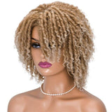 Perruque Style Afro Locks